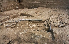 Стоянка Мухкай IIа. Поверхности слоев 2013-2 и 2013-3 с находками каменных изделий и костей животных. Вид с юга.