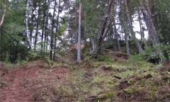 Русенихинский могильник. Вид с северо-северо-востока.