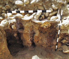 Погребение 25. Вид с северо-востока на юго-западную стенку могильной ямы с отпечатками опорных столбов и рогами двух бовинов.